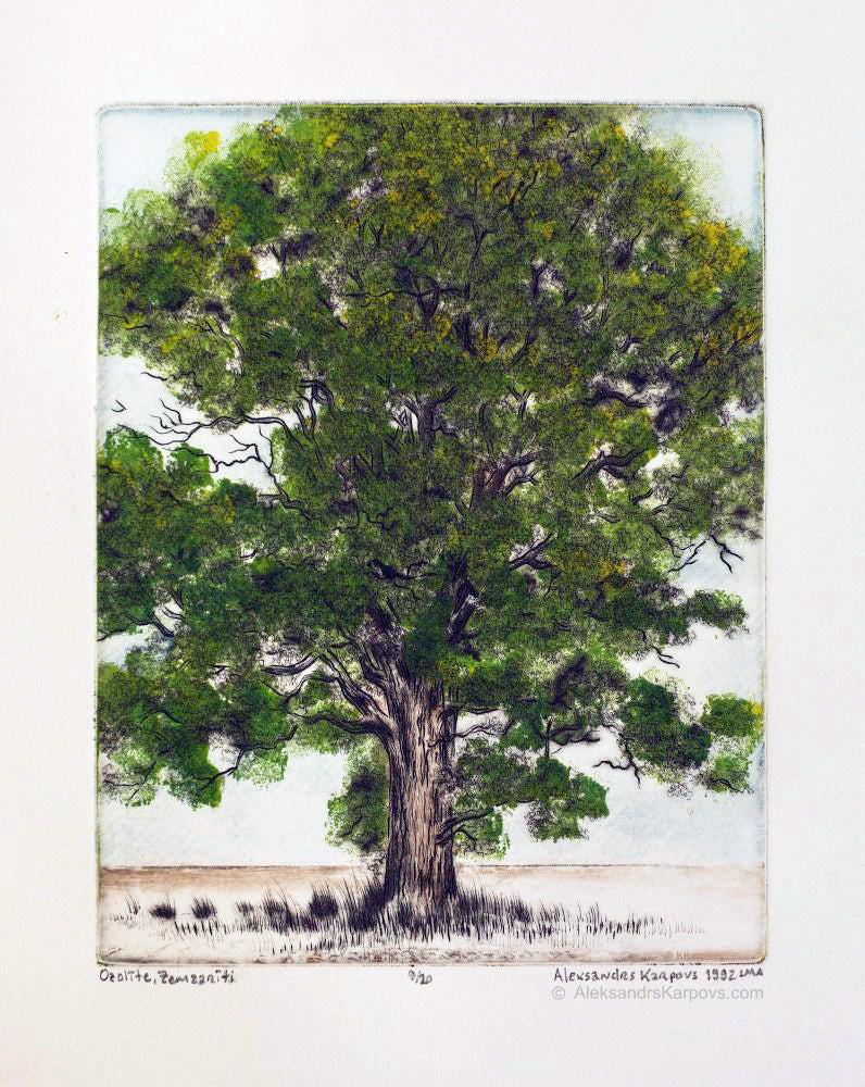 oak color art